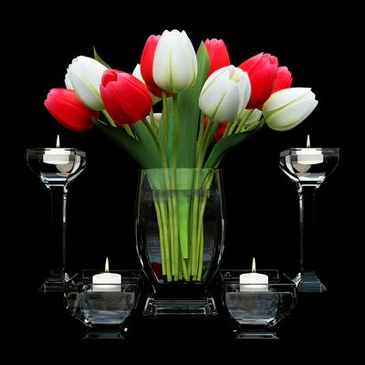 Bouquet of Tulips 2 — Ver 1