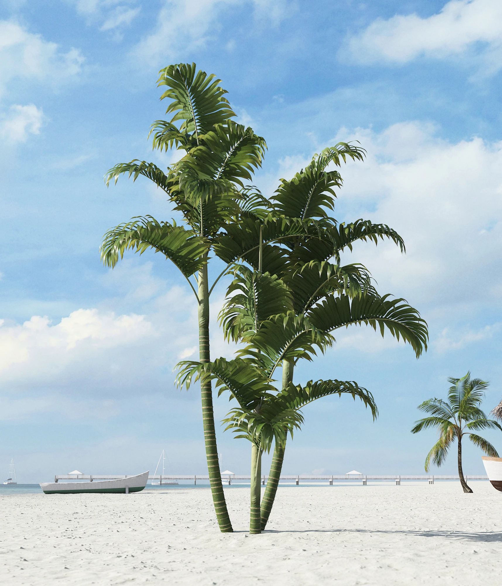 palm trees 030 — Скачать
