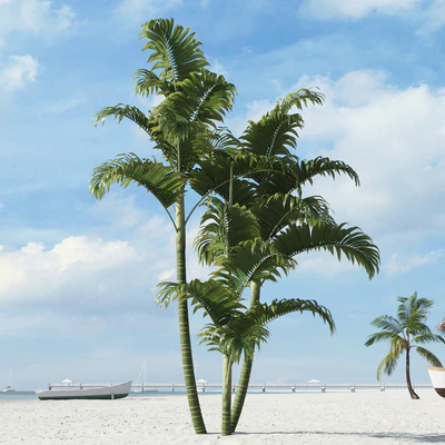 palm trees 030 — Скачать