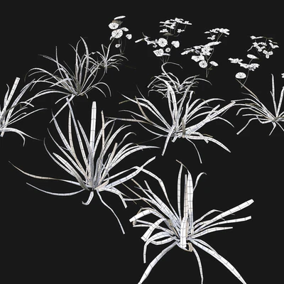 Grass lawn — Ver 5