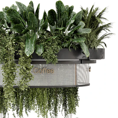 Coffee Reception Desk With Plants - Restaurant Set 1815 — Ver 5