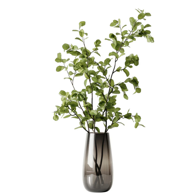 Plant 3 — Descargar