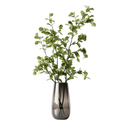 Plant 3 — Ver 4