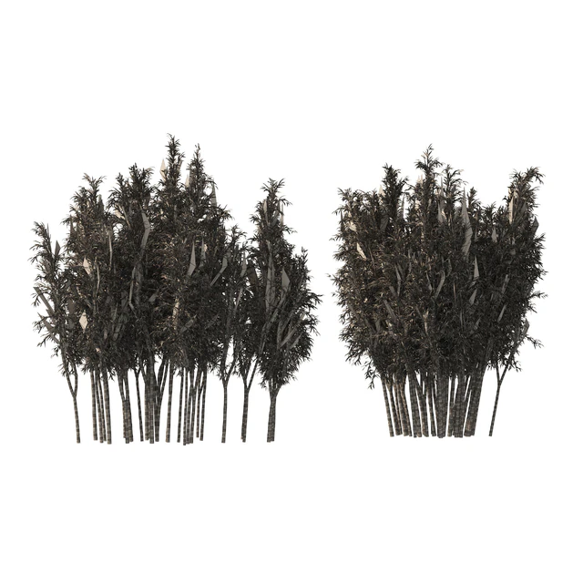 2 Bamboo Clusters — Descargar