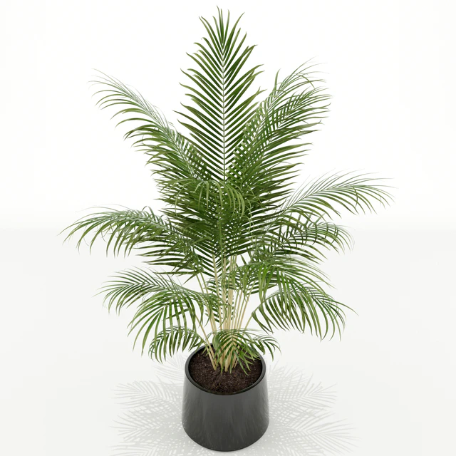 Plants collection 148 — Скачать