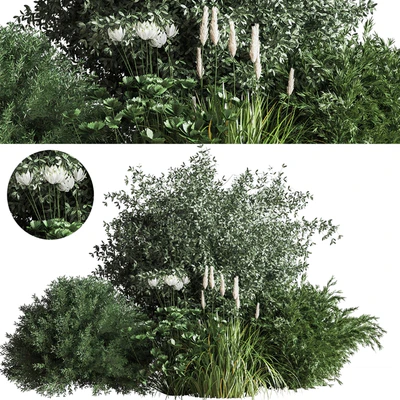Bush04 — Вид 1