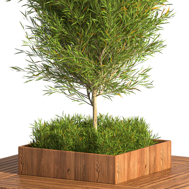 Park Bench Table with tree 01 — Descargar