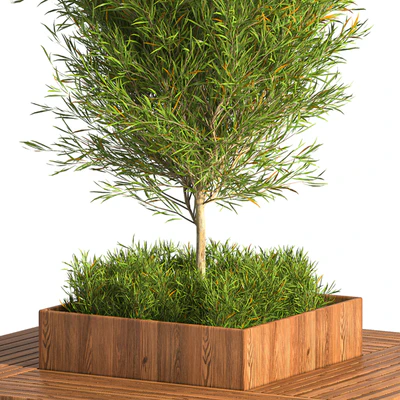 Park Bench Table with tree 01 — Ver 4