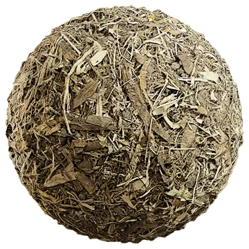 dried leaves 037 — Descargar