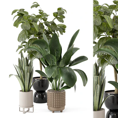Indoor Plants in Ferm Living Bau Pot Large - Set 1044 — Ver 1