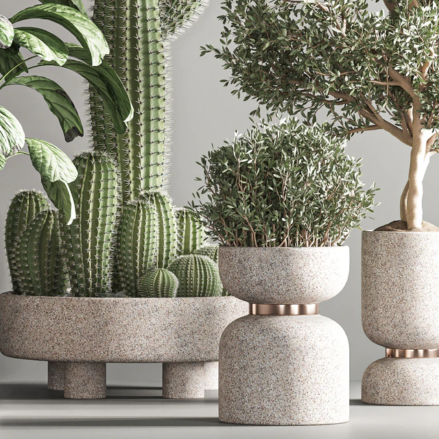 indoor plant set21 — Скачать