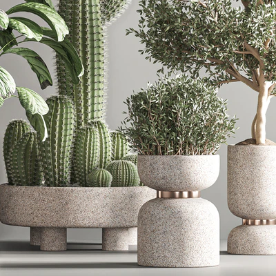 indoor plant set21 — Вид 5