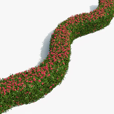 Delightful hedges — Ver 3