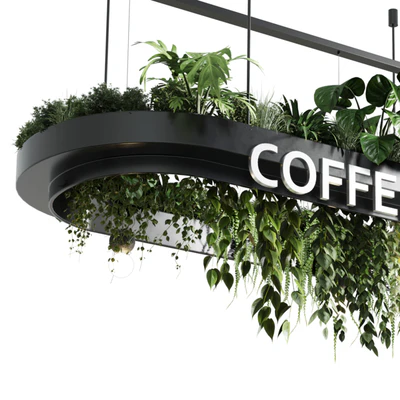 Coffee shop reception, Restaurant counter by hanging plant - 01 — Ver 4