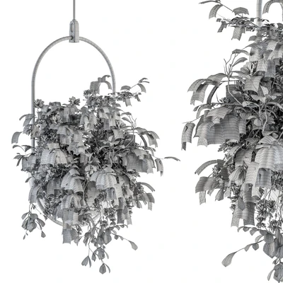indoor Plant Set 283 - Hanging Plants — Ver 2
