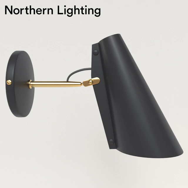 Bra Northern Lighting Birdy — Descargar