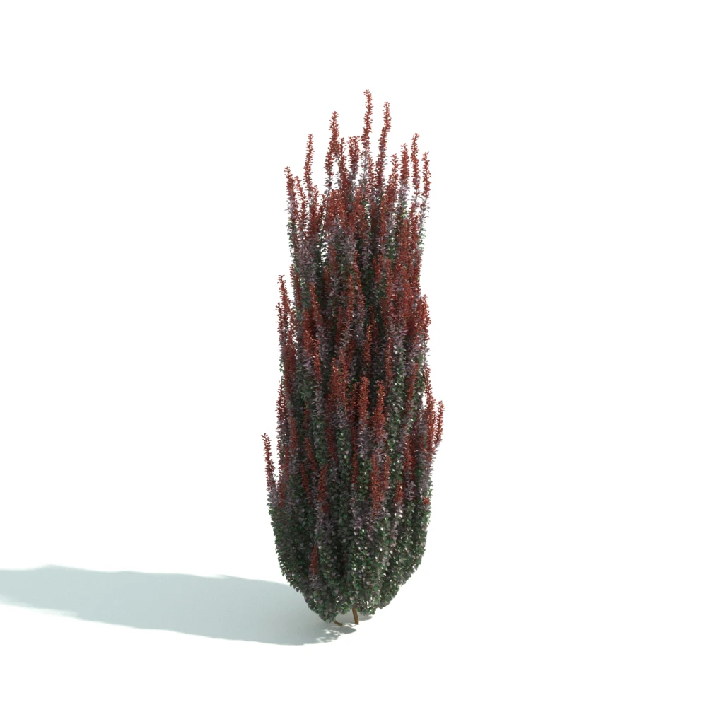 hedges 057 — Скачать