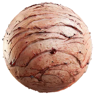 inner cow skin 004 — Descargar