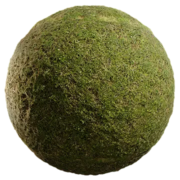 wild grass 079 — Descargar