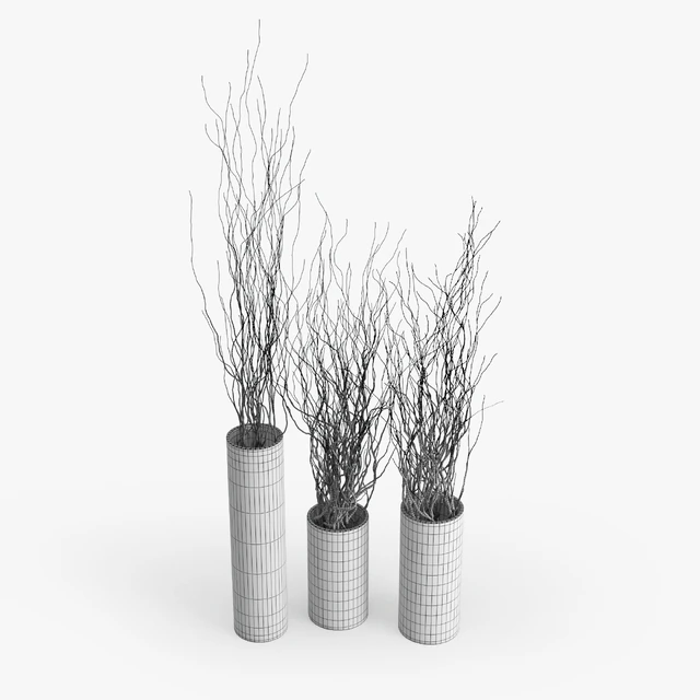 Dry Branch — Descargar