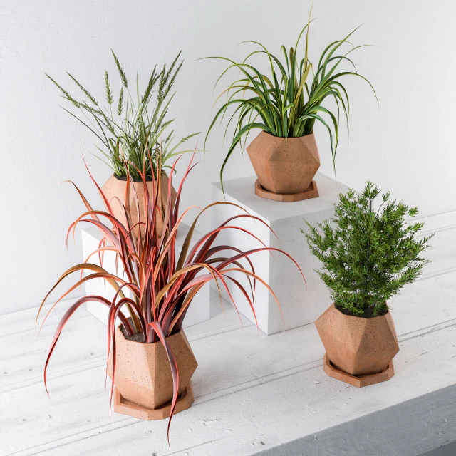 Plants and Pot Decor — Скачать