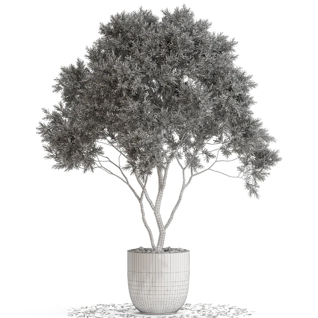 Plants collection 670 — Descargar