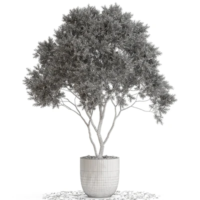 Plants collection 670 — Ver 4