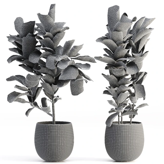 Collection of plants-006 — Скачать
