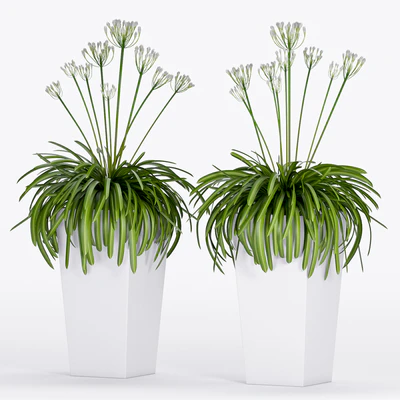 PLANT -16 — Ver 2