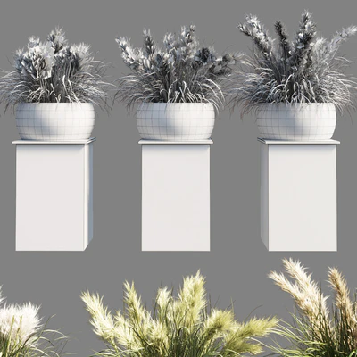 Collection outdoor indoor 70 pot palnt grass the dry pampas stand vase wooden — Ver 4