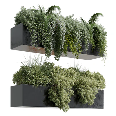 wall plant - hanging plants collection Indoor plant 219 — Ver 1