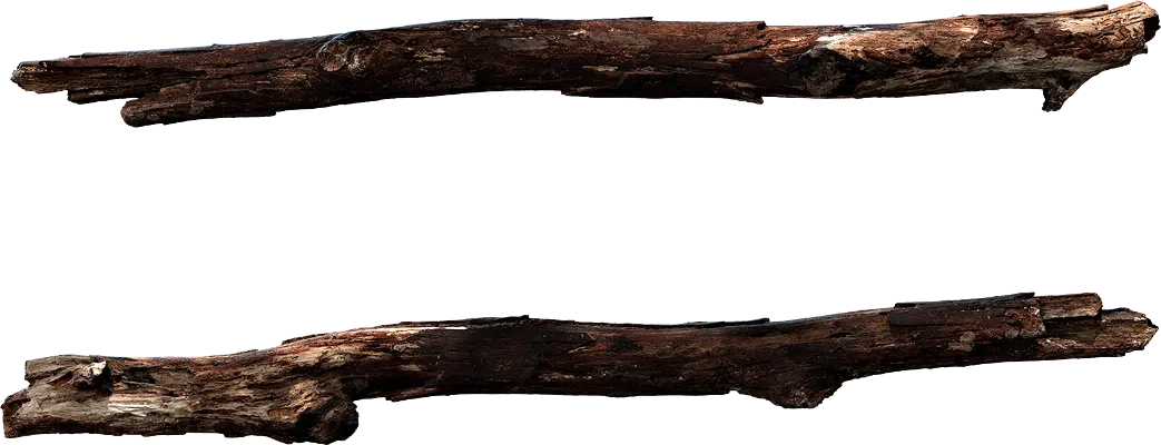 wooden branch 006 — Скачать