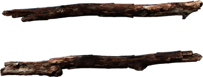 wooden branch 006 — Скачать