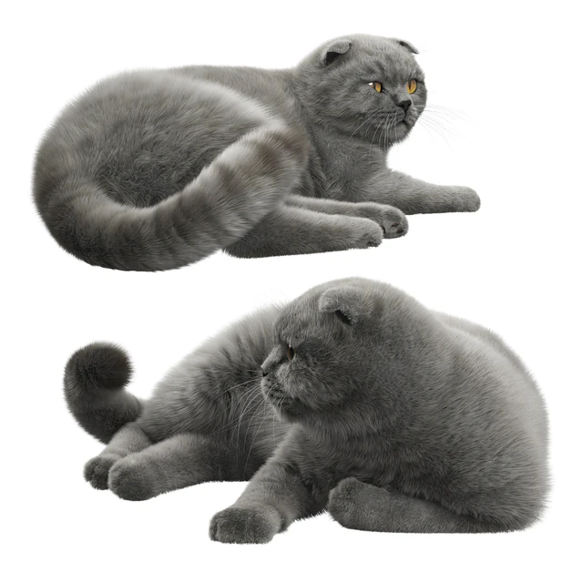 CAT 7 Corona — Скачать