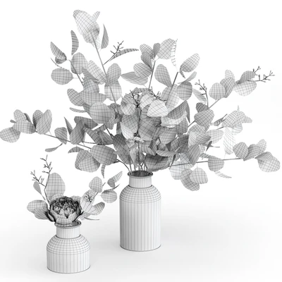 Bouquets of eucalyptus. — Ver 2