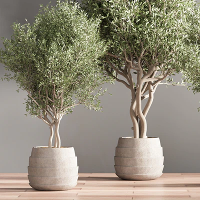indoor plant stand 39 — Ver 3