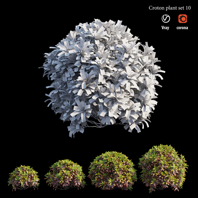 Croton plant set 10 — Descargar