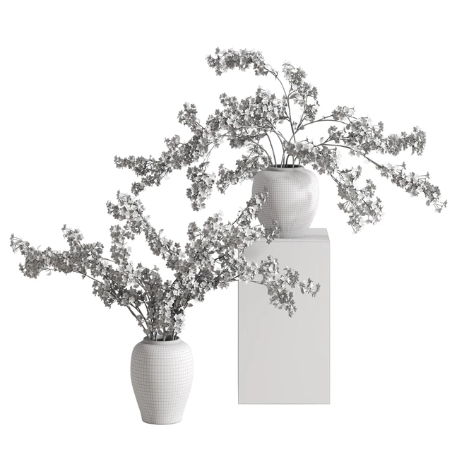 Vases with Branches White Cherry — Descargar