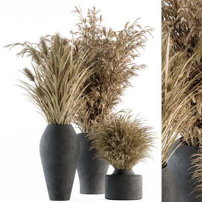 Dry plants 81 - Dried Plants Set — Ver 2