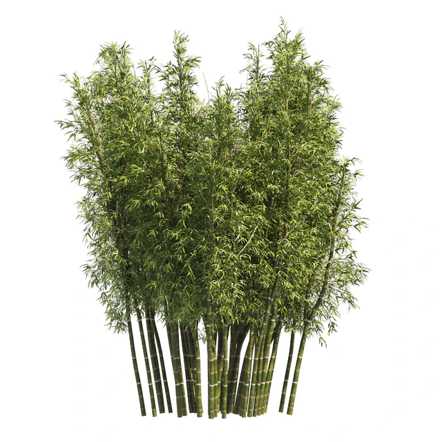 2 Bamboo Clusters — Descargar