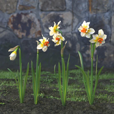 garden flowers 021 — Скачать