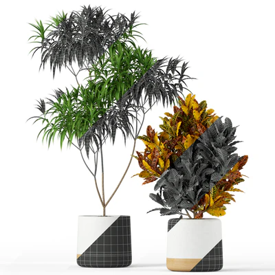 Plants collection 203 — Вид 3