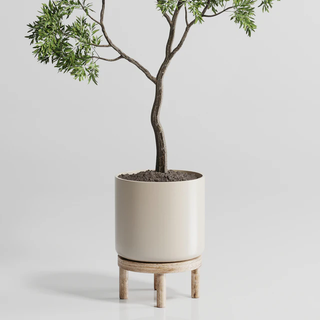 Indoor plant 176 wooden vase plant tree pot — Descargar