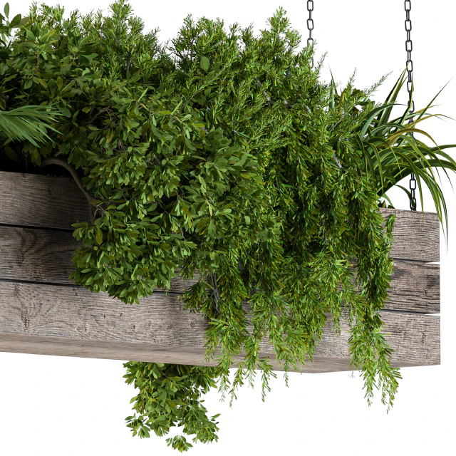 Hanging Plants in Wooden Box — Descargar