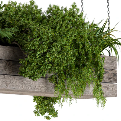 Hanging Plants in Wooden Box — Ver 4