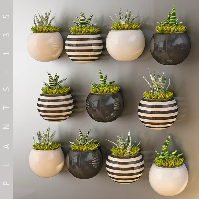 PLANTS 135 — Descargar