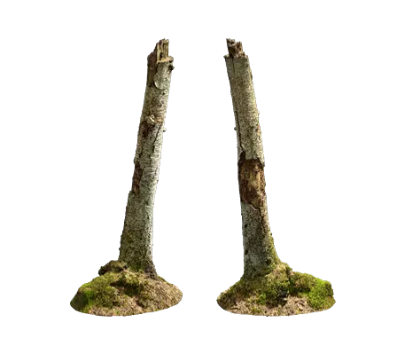 nordic forest tree stump birch medium 001 — Descargar