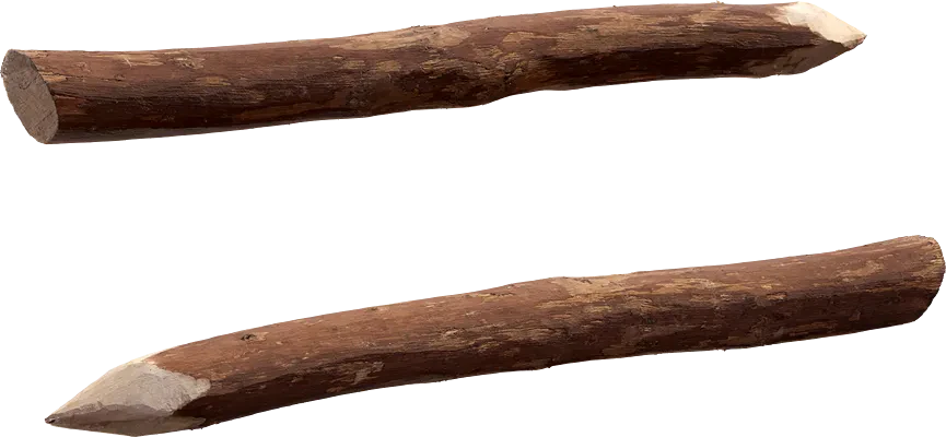palisade spike 004 — Скачать