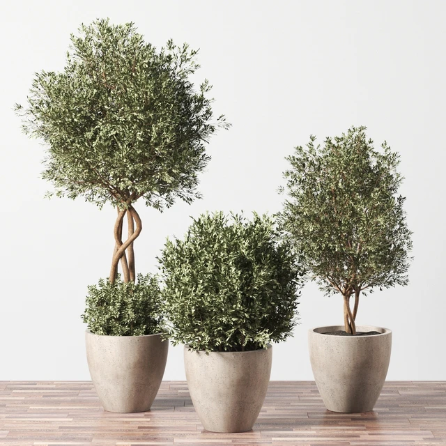 Indoor Plant Set 01 — Скачать