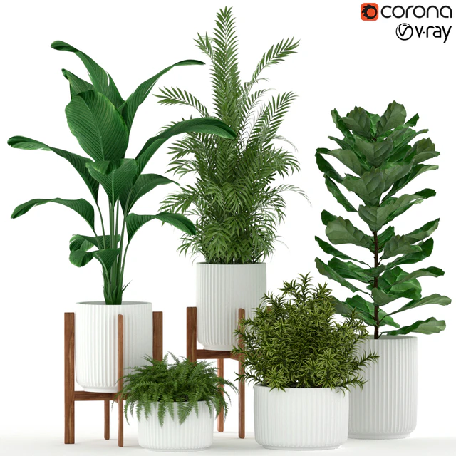 Plants collection 194 — Скачать